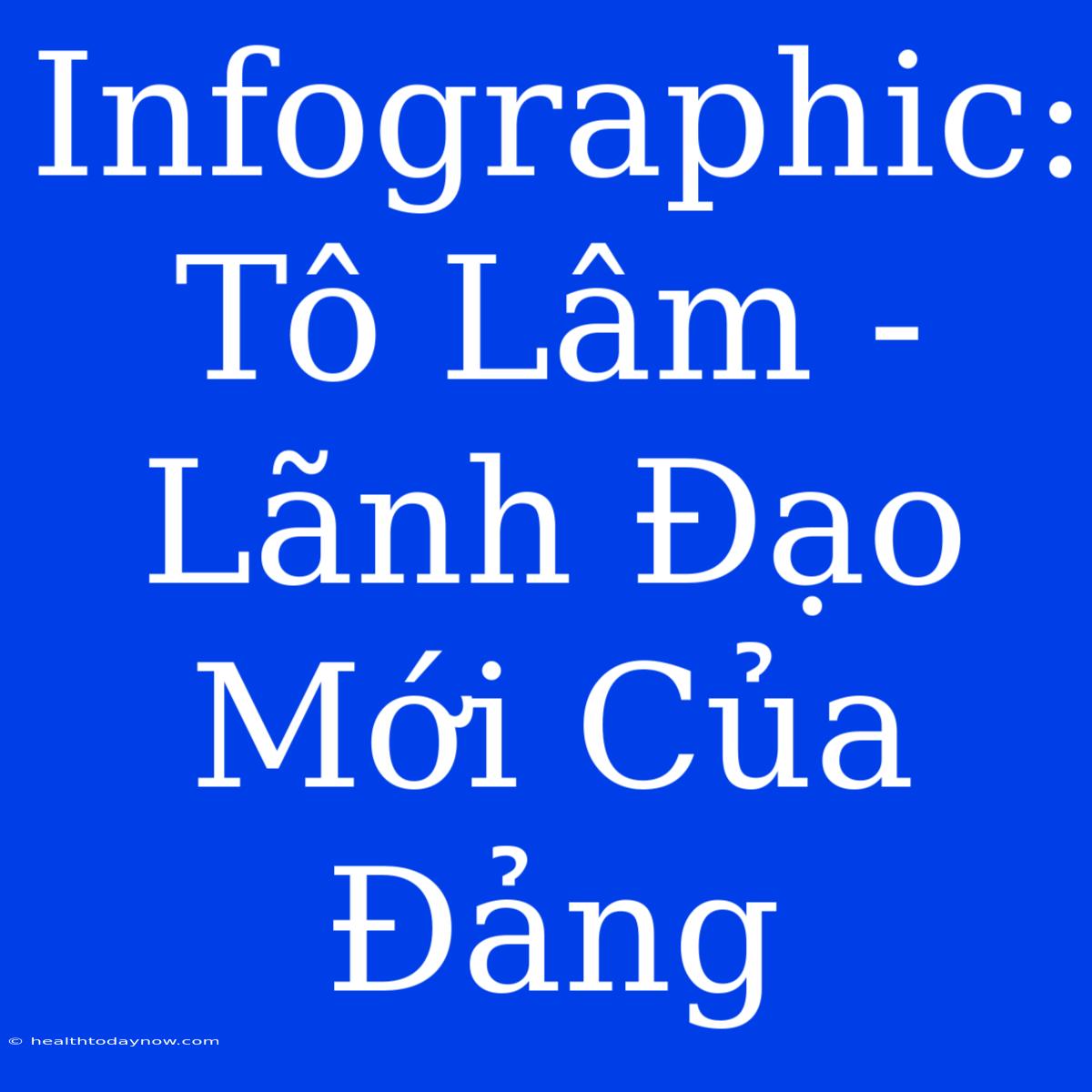 Infographic: Tô Lâm - Lãnh Đạo Mới Của Đảng