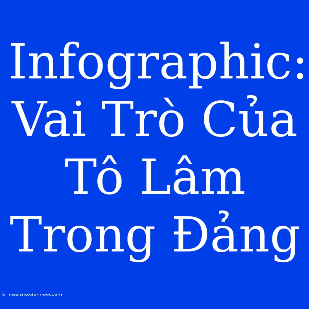 Infographic: Vai Trò Của Tô Lâm Trong Đảng