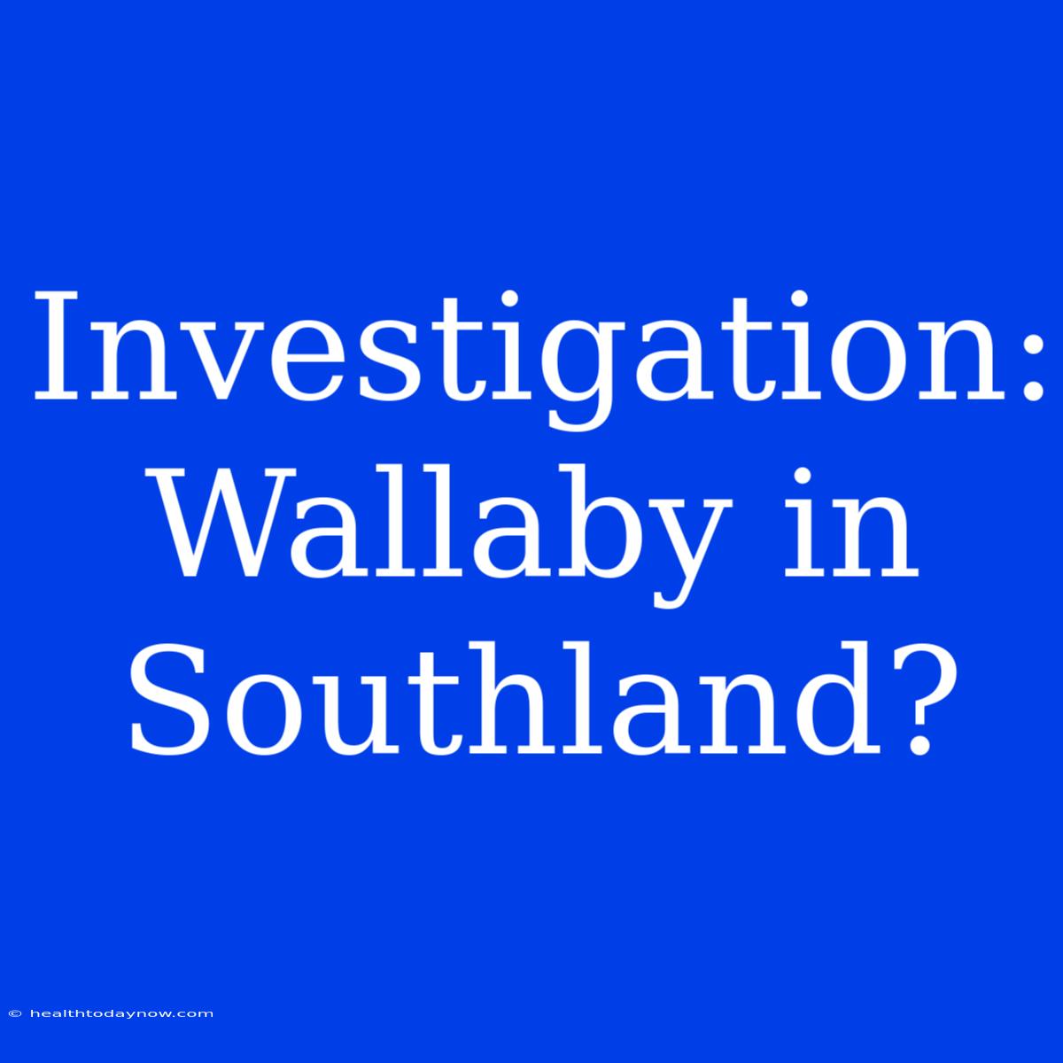 Investigation: Wallaby In Southland?