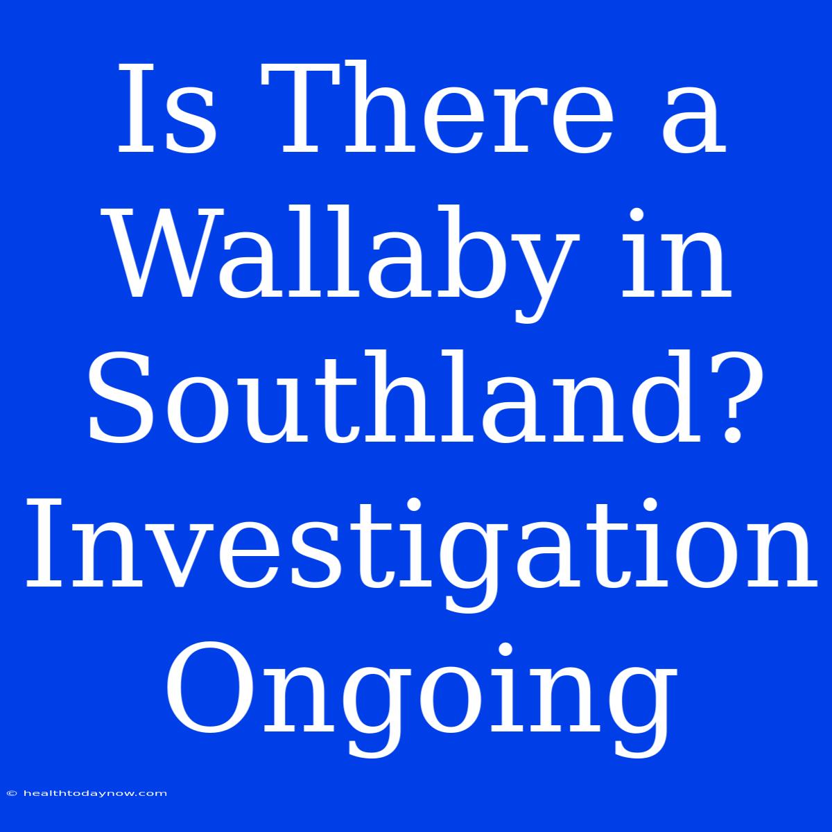 Is There A Wallaby In Southland? Investigation Ongoing