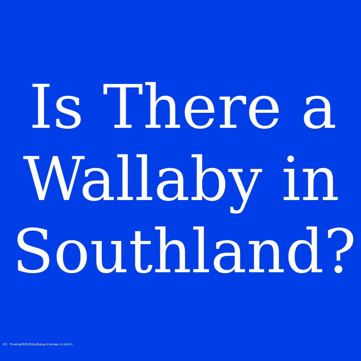 Is There A Wallaby In Southland?