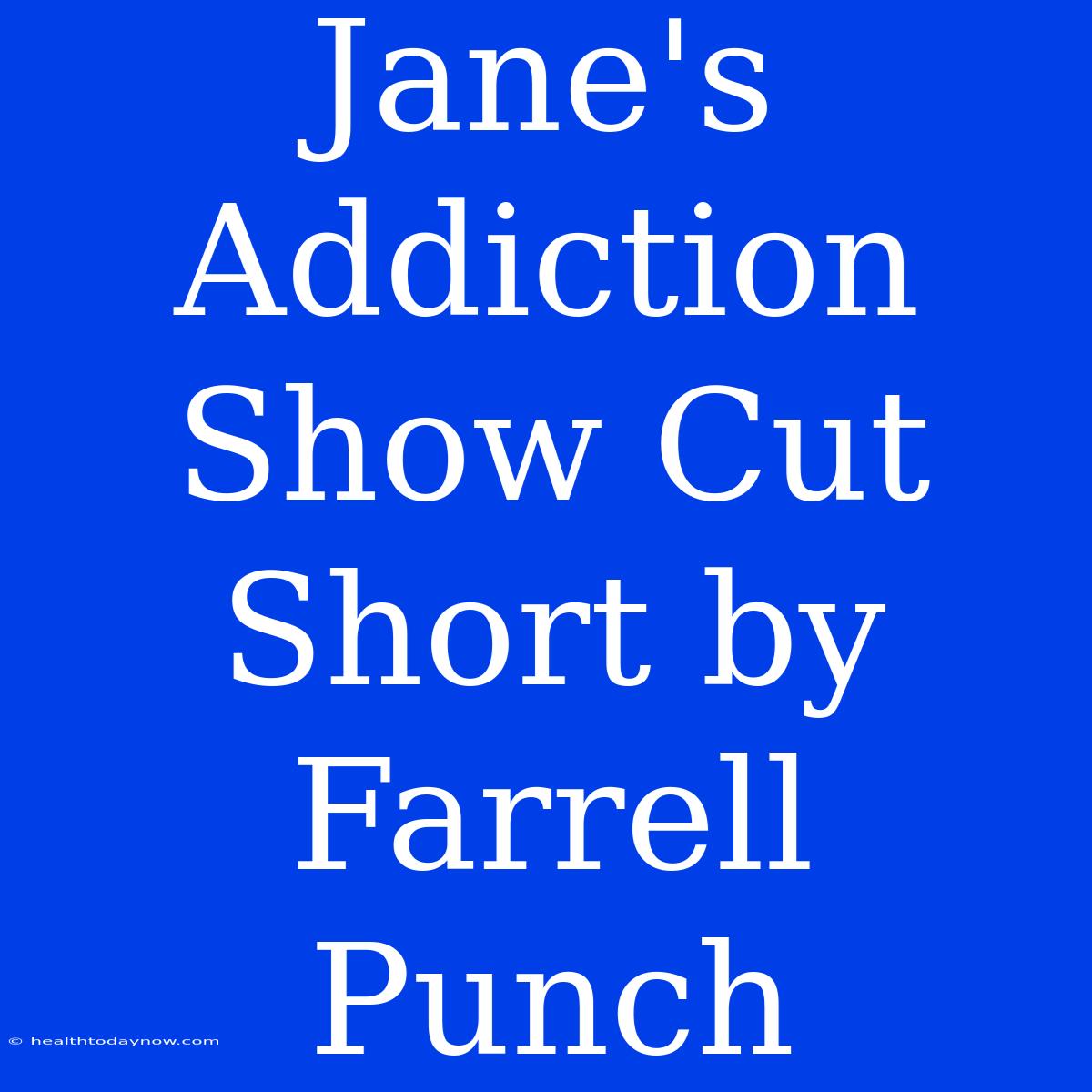 Jane's Addiction Show Cut Short By Farrell Punch