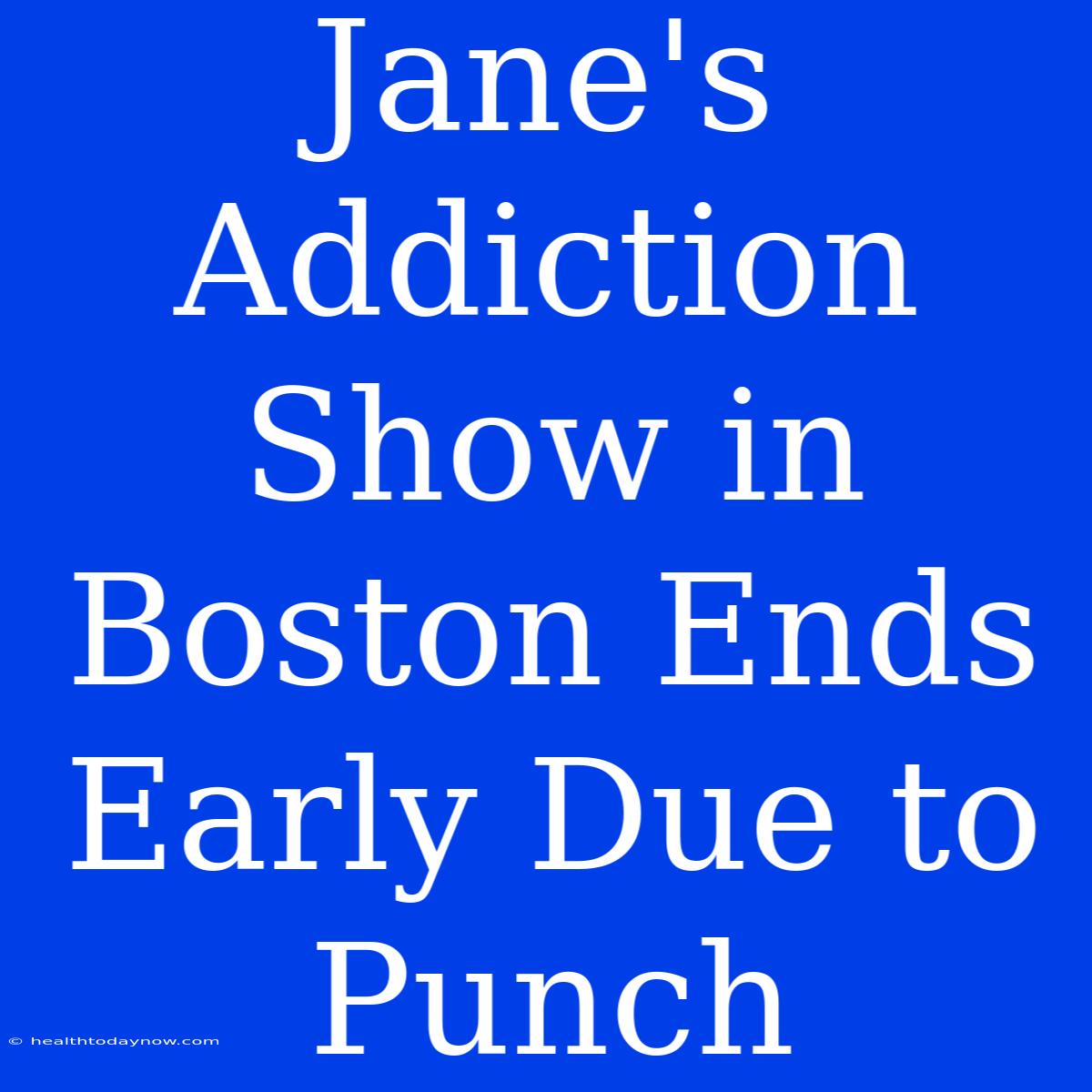 Jane's Addiction Show In Boston Ends Early Due To Punch