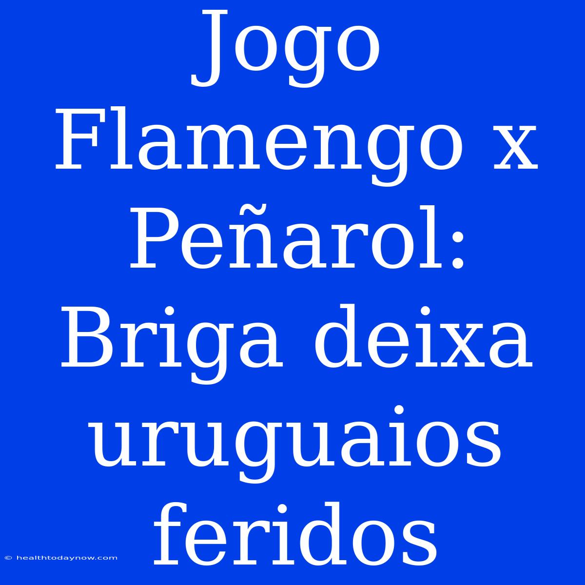 Jogo Flamengo X Peñarol: Briga Deixa Uruguaios Feridos