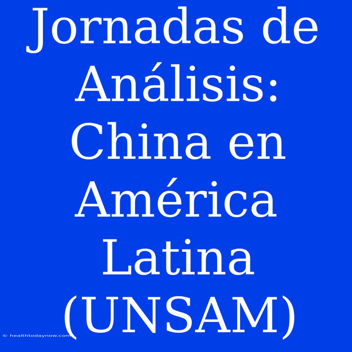 Jornadas De Análisis: China En América Latina (UNSAM)