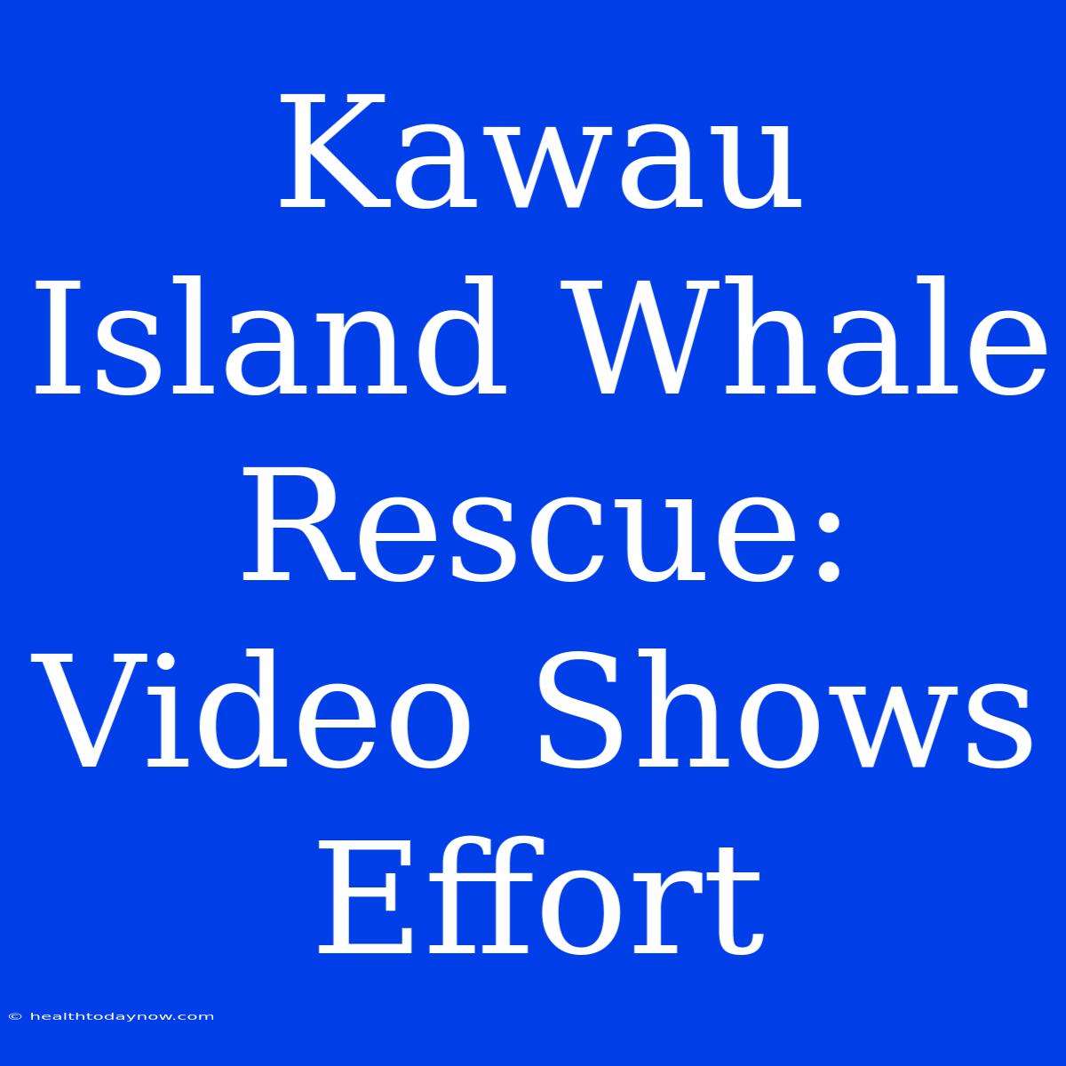 Kawau Island Whale Rescue: Video Shows Effort