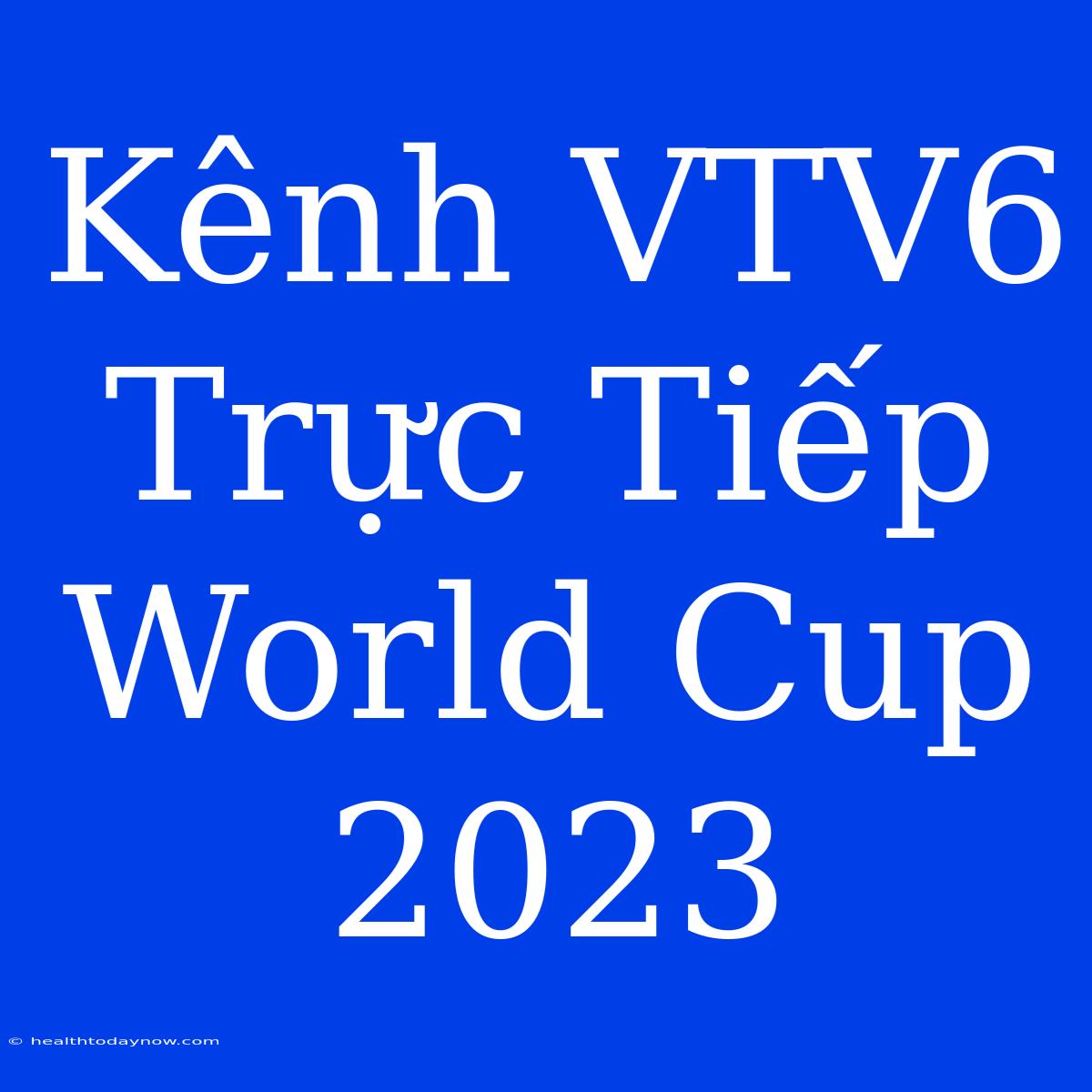 Kênh VTV6 Trực Tiếp World Cup 2023