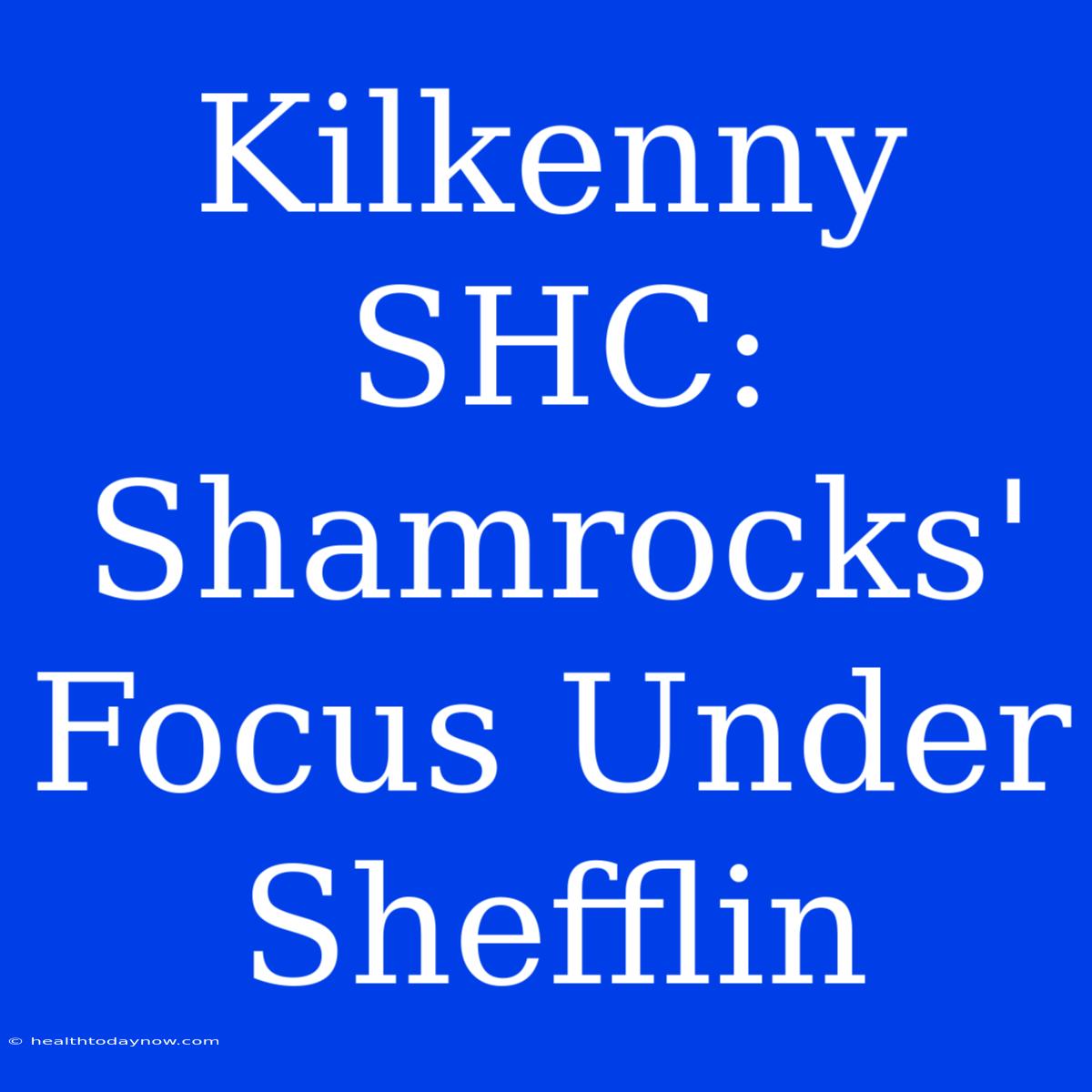 Kilkenny SHC: Shamrocks' Focus Under Shefflin 