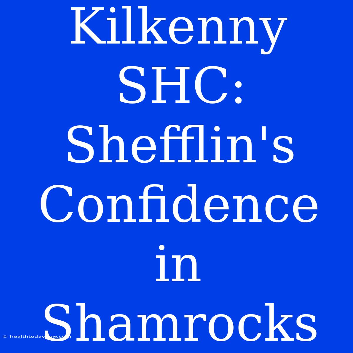 Kilkenny SHC: Shefflin's Confidence In Shamrocks