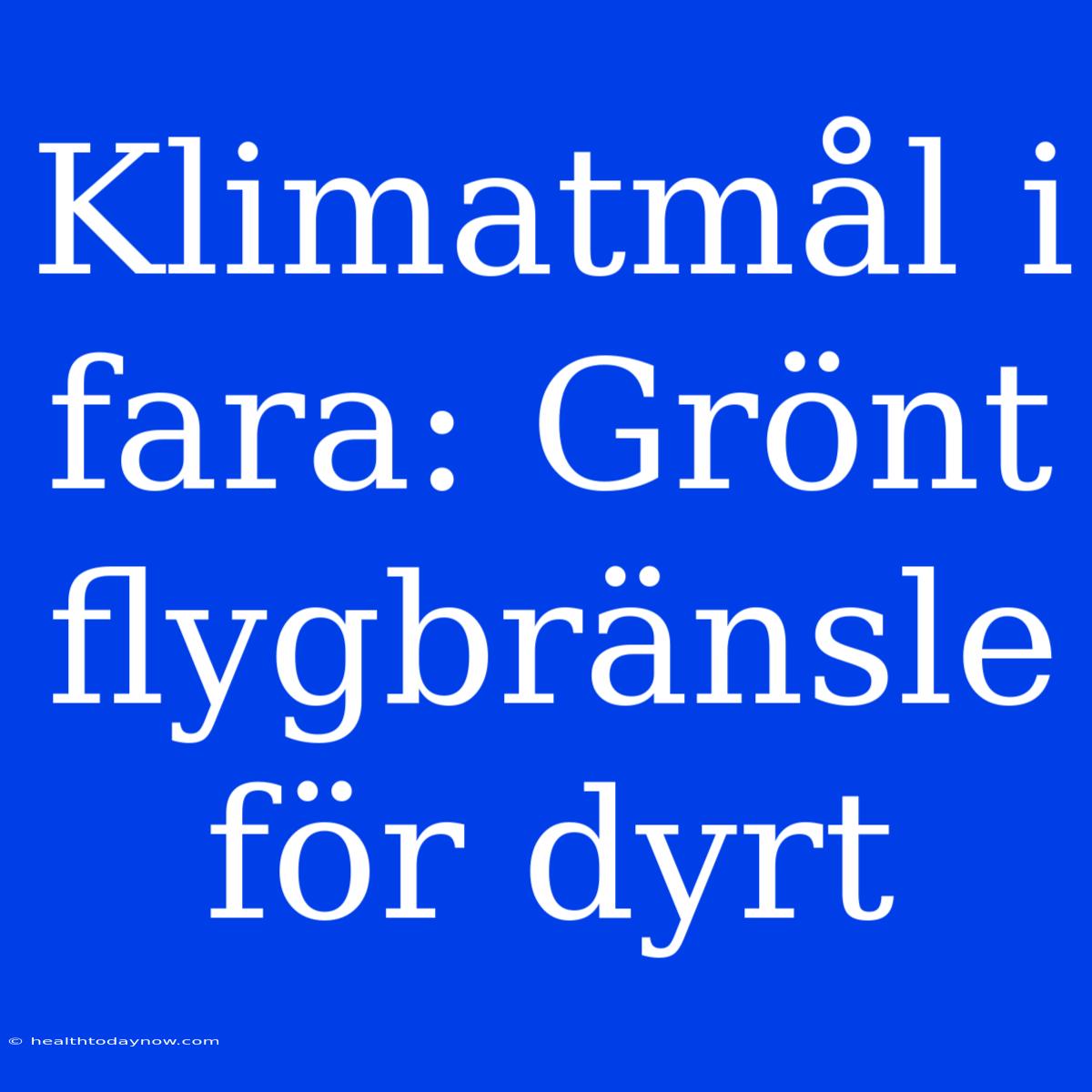 Klimatmål I Fara: Grönt Flygbränsle För Dyrt