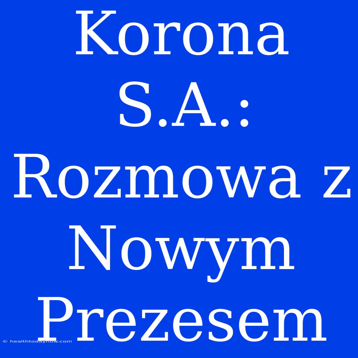 Korona S.A.: Rozmowa Z Nowym Prezesem