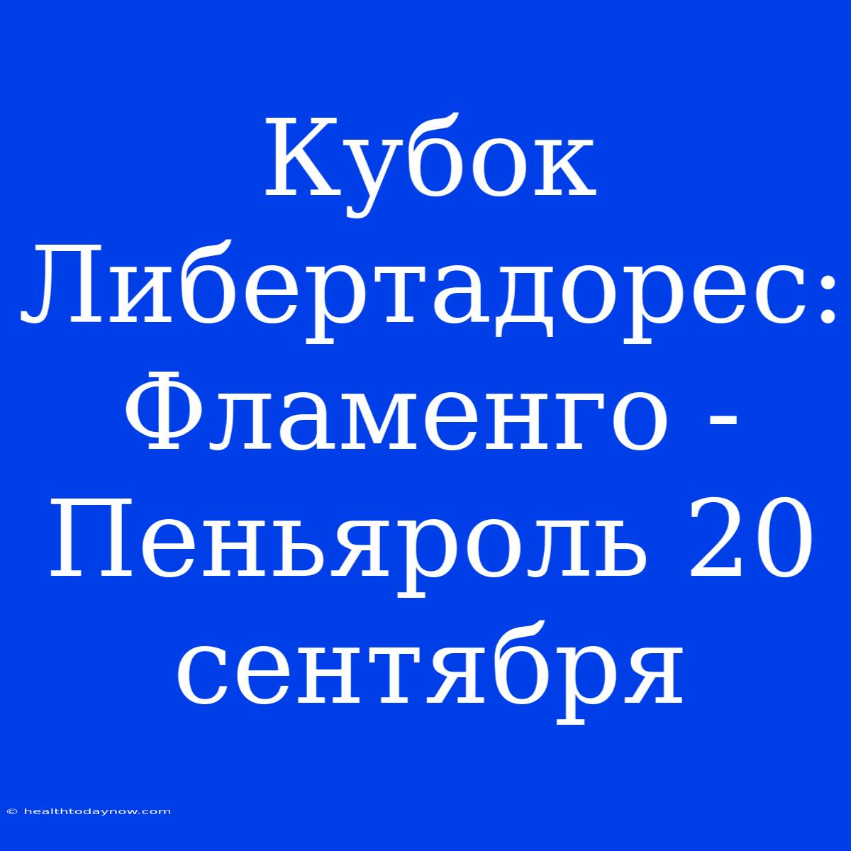 Кубок Либертадорес: Фламенго - Пеньяроль 20 Сентября