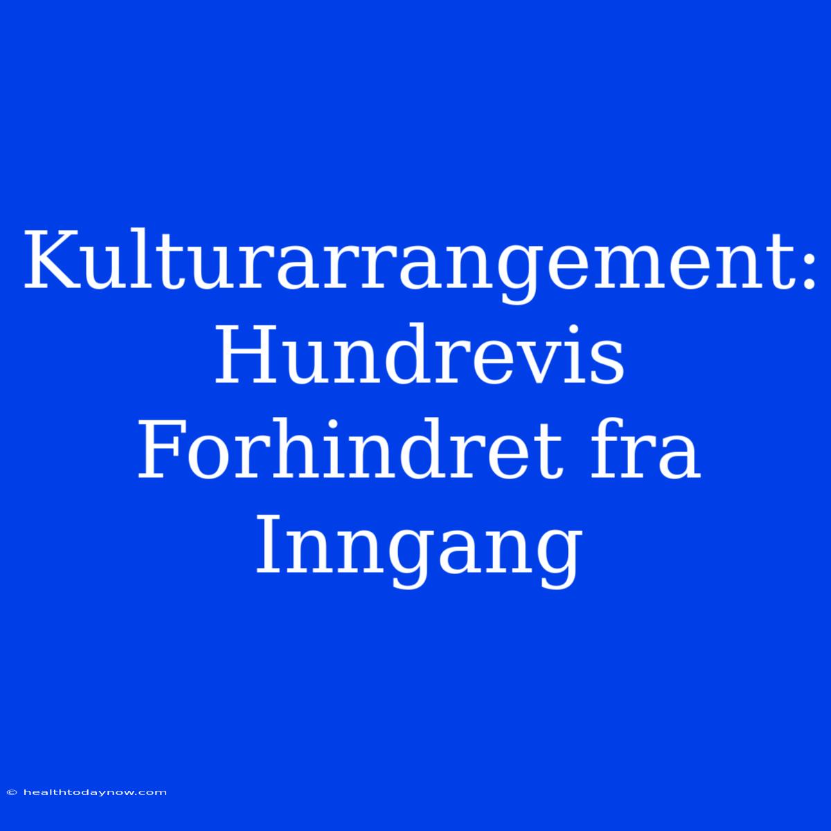 Kulturarrangement: Hundrevis Forhindret Fra Inngang