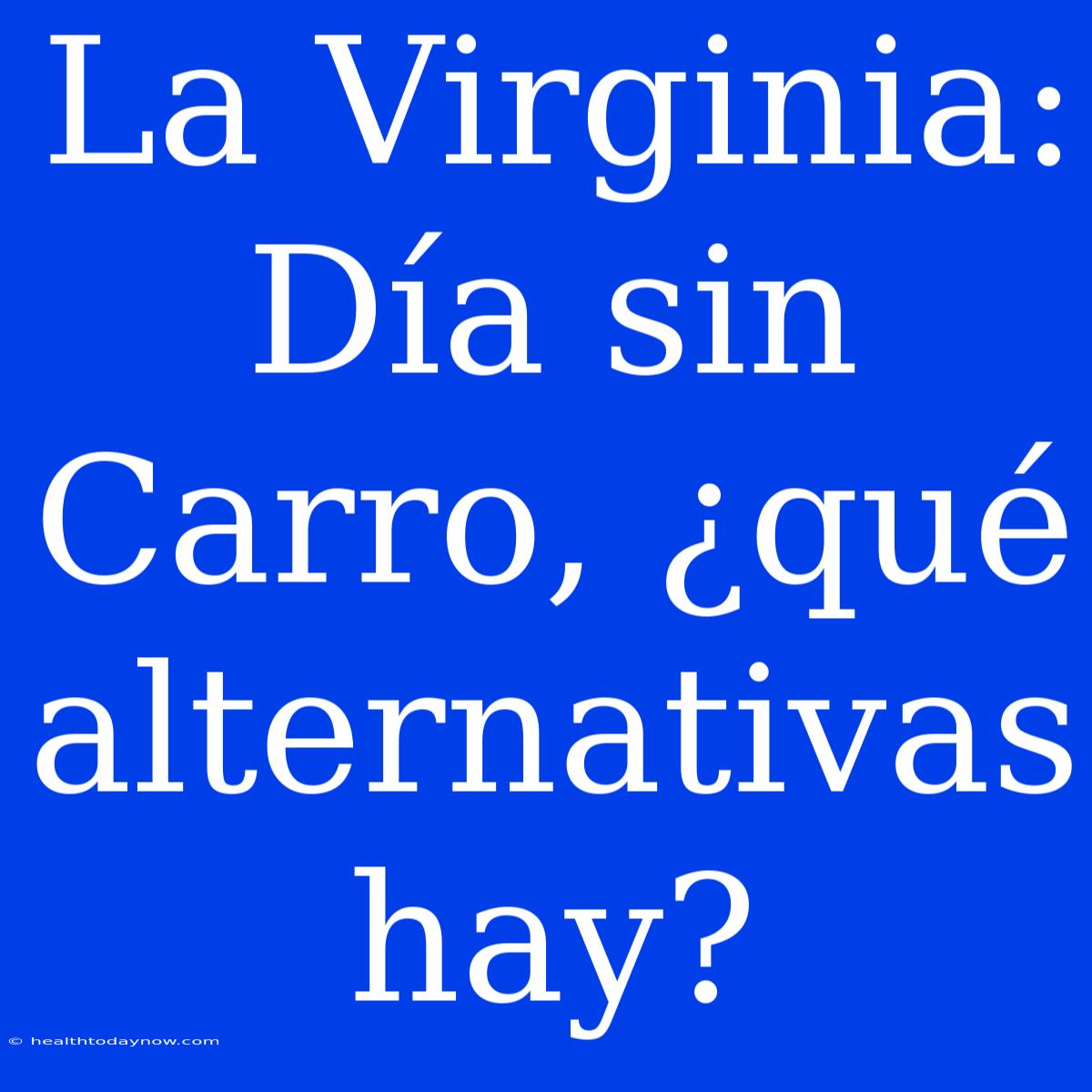 La Virginia: Día Sin Carro, ¿qué Alternativas Hay? 