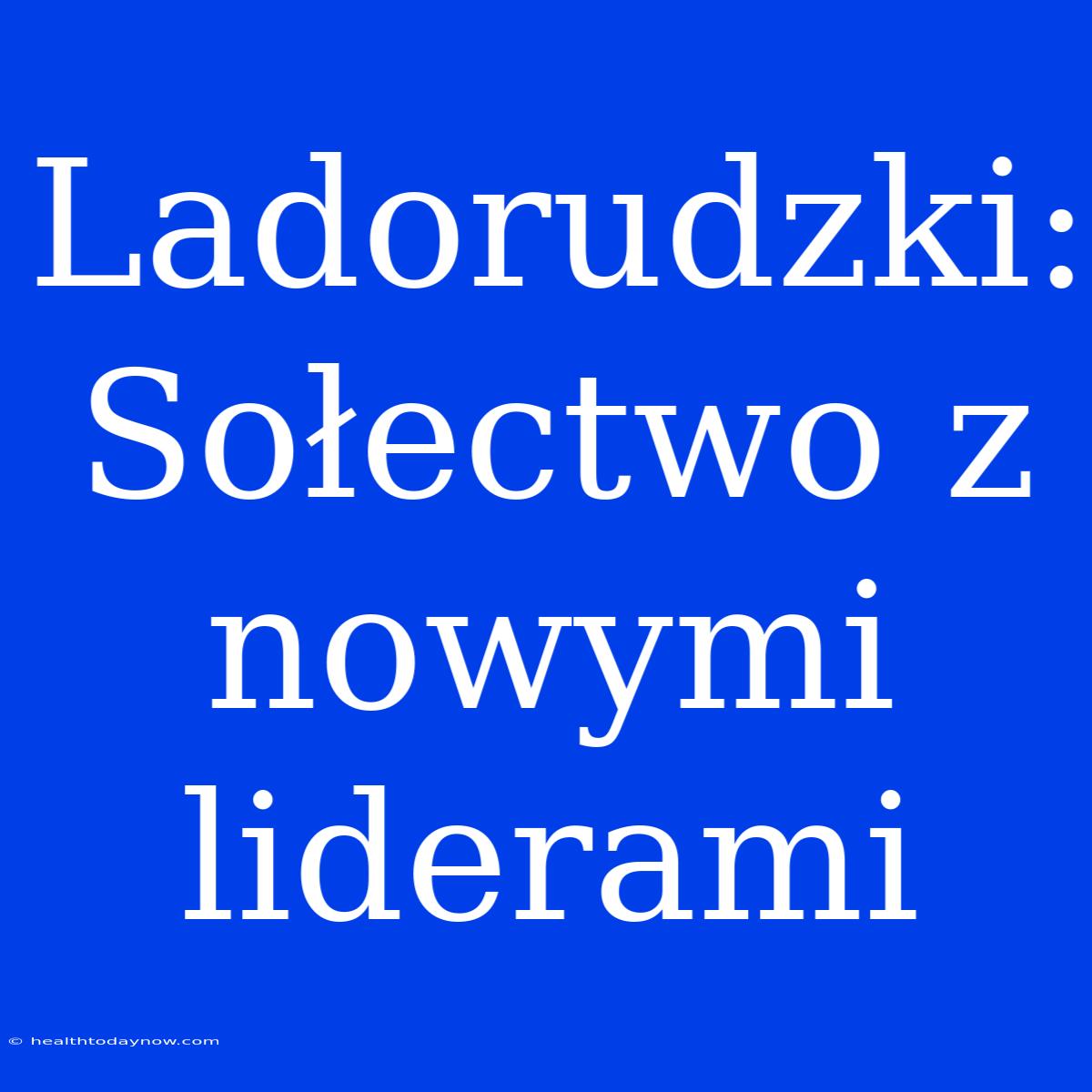 Ladorudzki: Sołectwo Z Nowymi Liderami