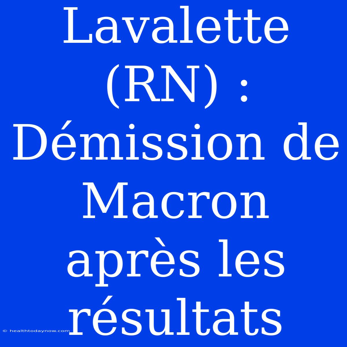 Lavalette (RN) : Démission De Macron Après Les Résultats