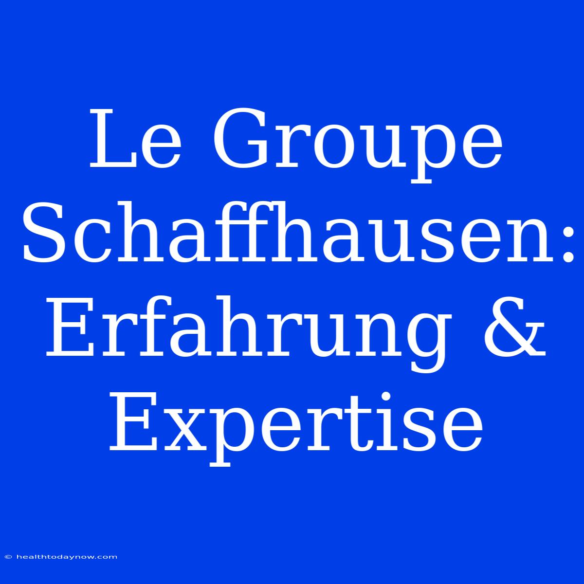 Le Groupe Schaffhausen: Erfahrung & Expertise