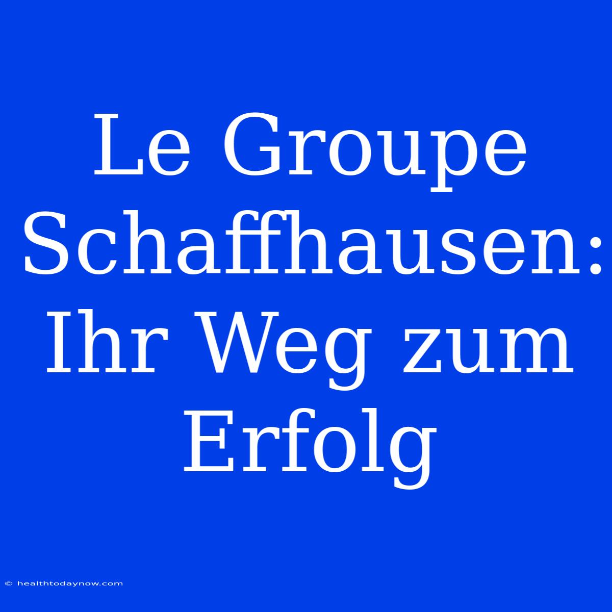 Le Groupe Schaffhausen: Ihr Weg Zum Erfolg