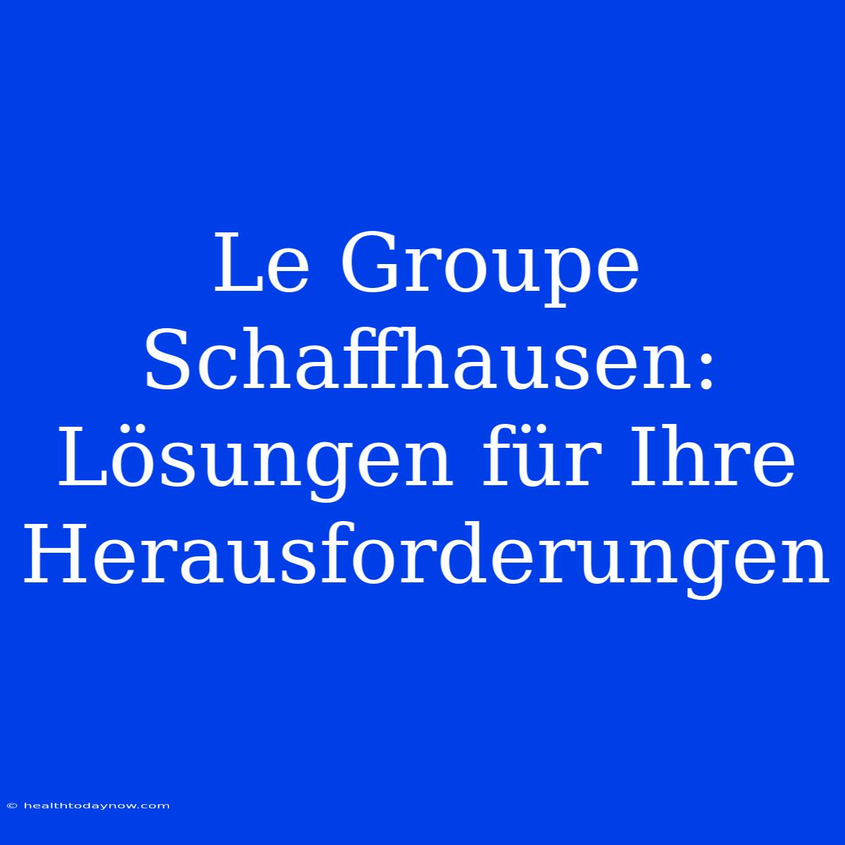 Le Groupe Schaffhausen: Lösungen Für Ihre Herausforderungen