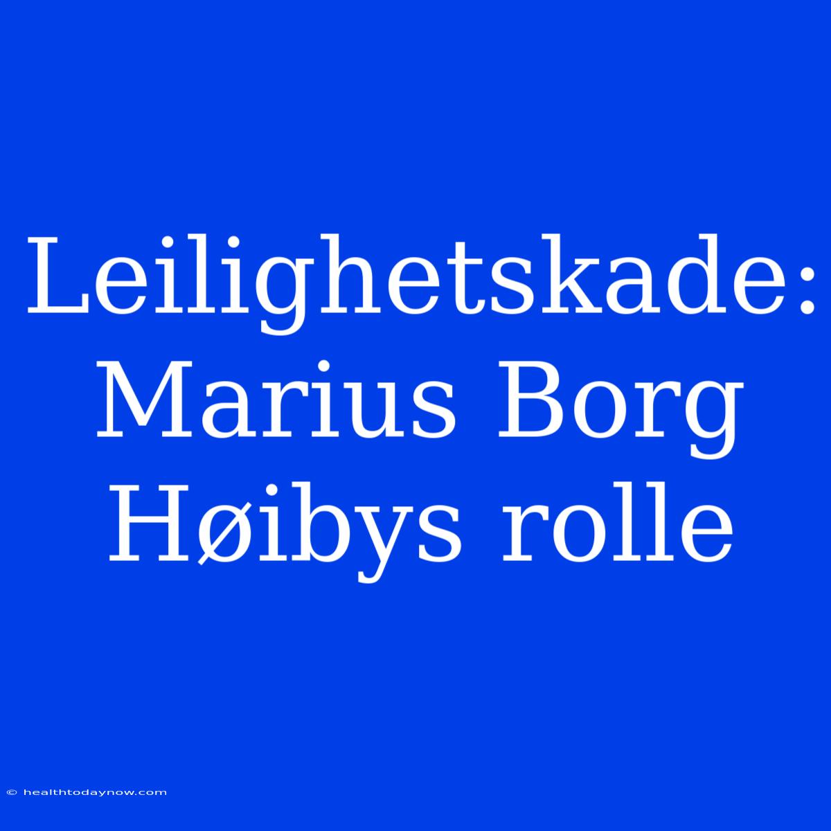 Leilighetskade: Marius Borg Høibys Rolle