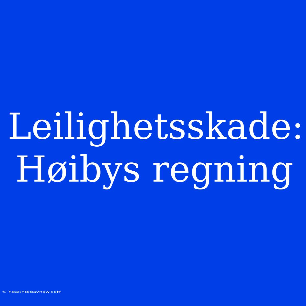 Leilighetsskade: Høibys Regning 