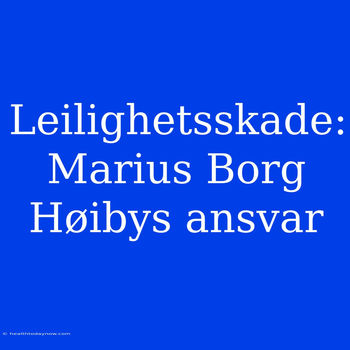 Leilighetsskade: Marius Borg Høibys Ansvar