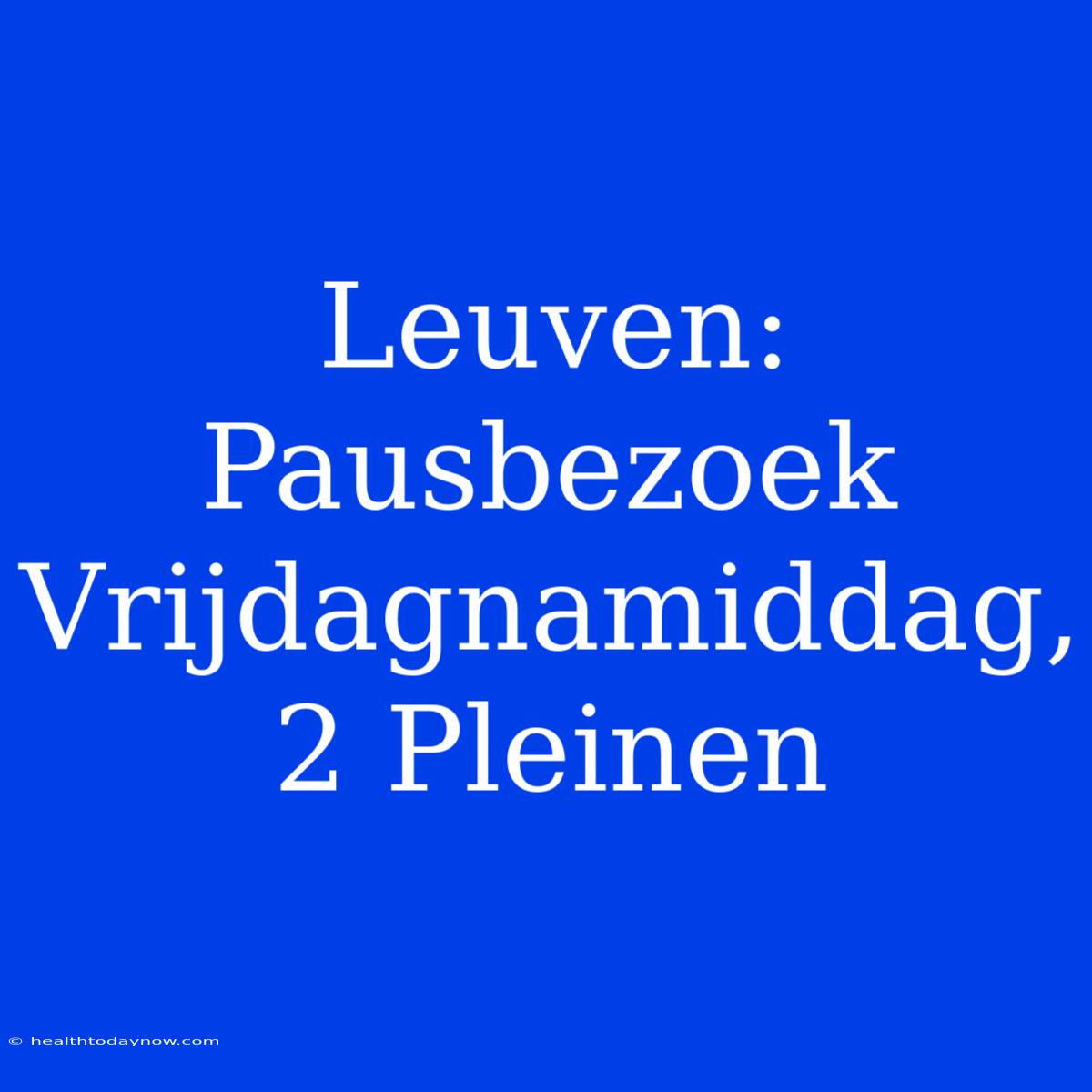 Leuven: Pausbezoek Vrijdagnamiddag, 2 Pleinen