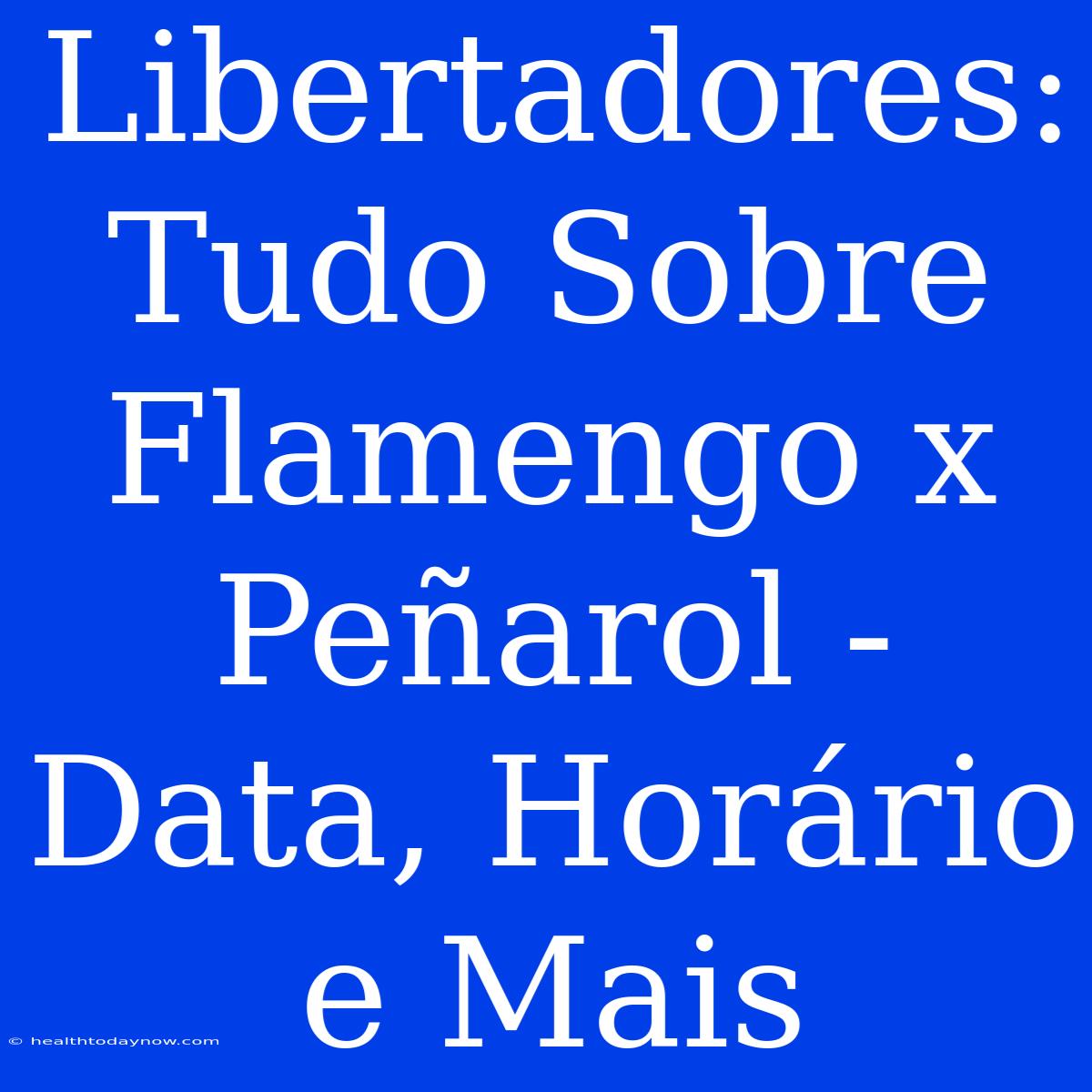 Libertadores: Tudo Sobre Flamengo X Peñarol - Data, Horário E Mais 