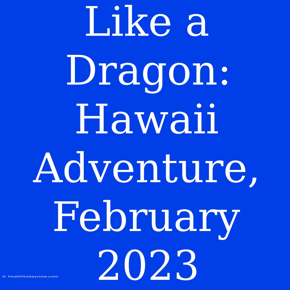 Like A Dragon: Hawaii Adventure, February 2023