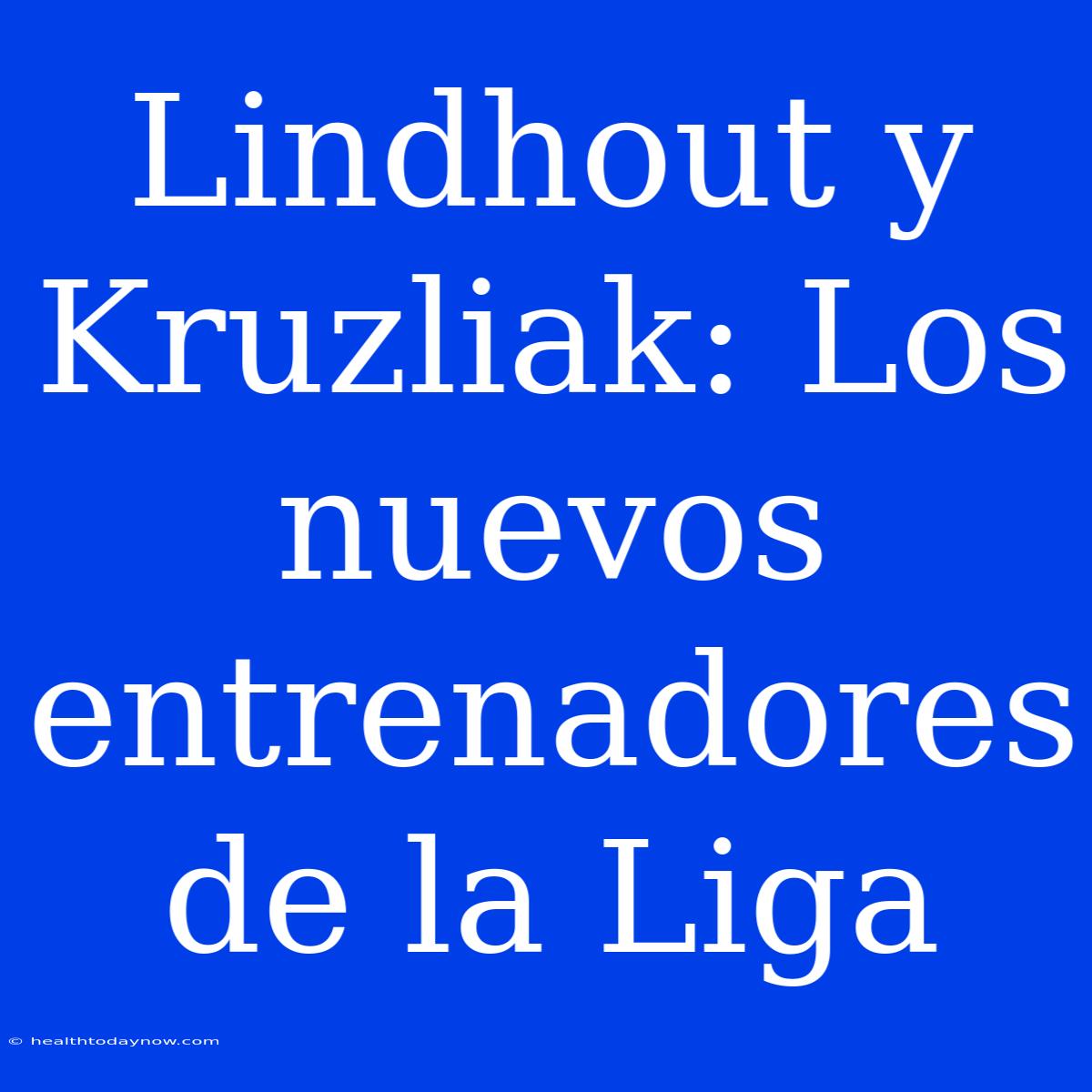 Lindhout Y Kruzliak: Los Nuevos Entrenadores De La Liga