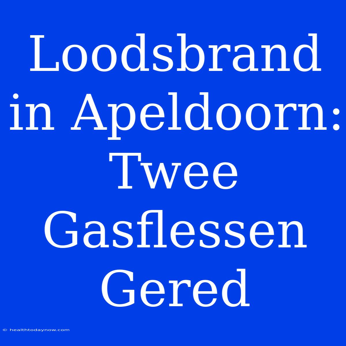 Loodsbrand In Apeldoorn: Twee Gasflessen Gered