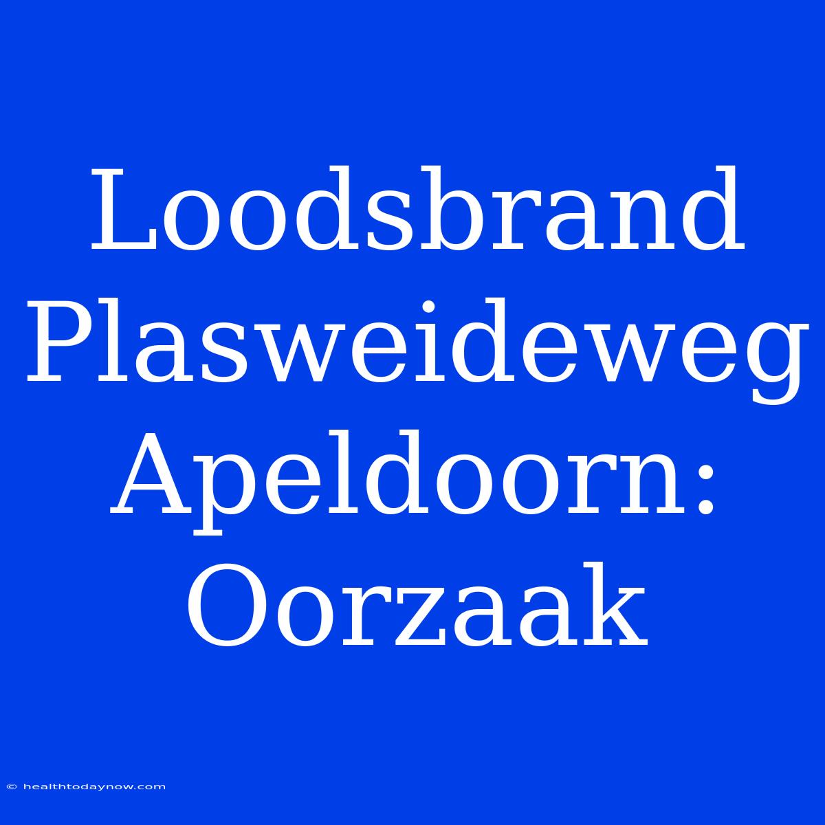 Loodsbrand Plasweideweg Apeldoorn: Oorzaak