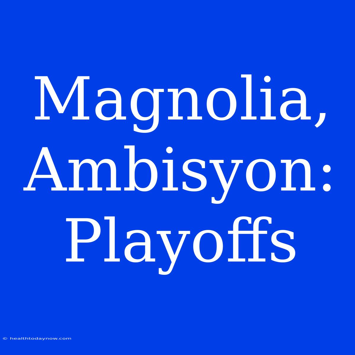 Magnolia, Ambisyon: Playoffs