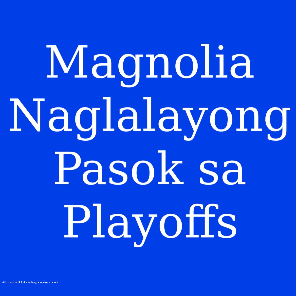 Magnolia Naglalayong Pasok Sa Playoffs