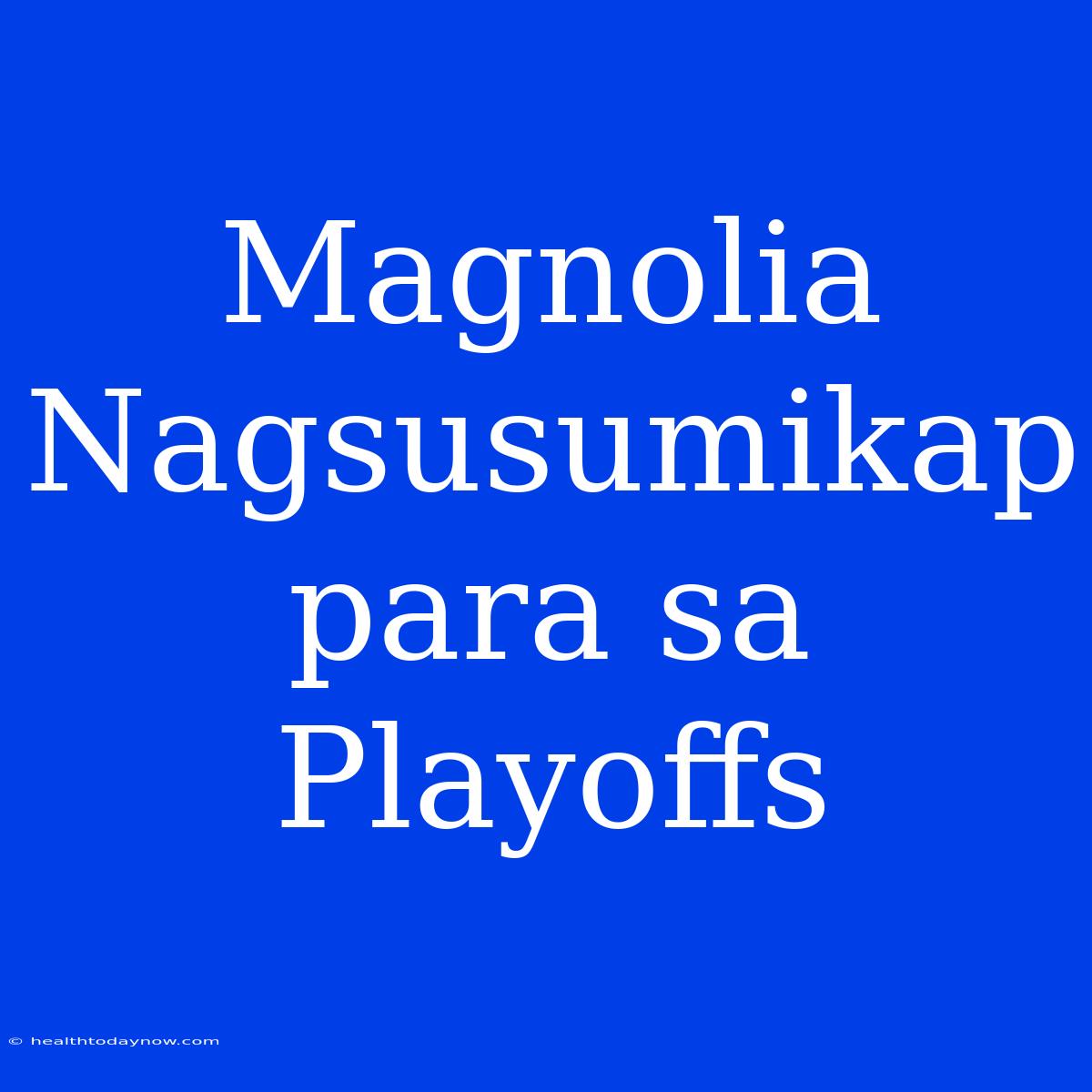 Magnolia Nagsusumikap Para Sa Playoffs