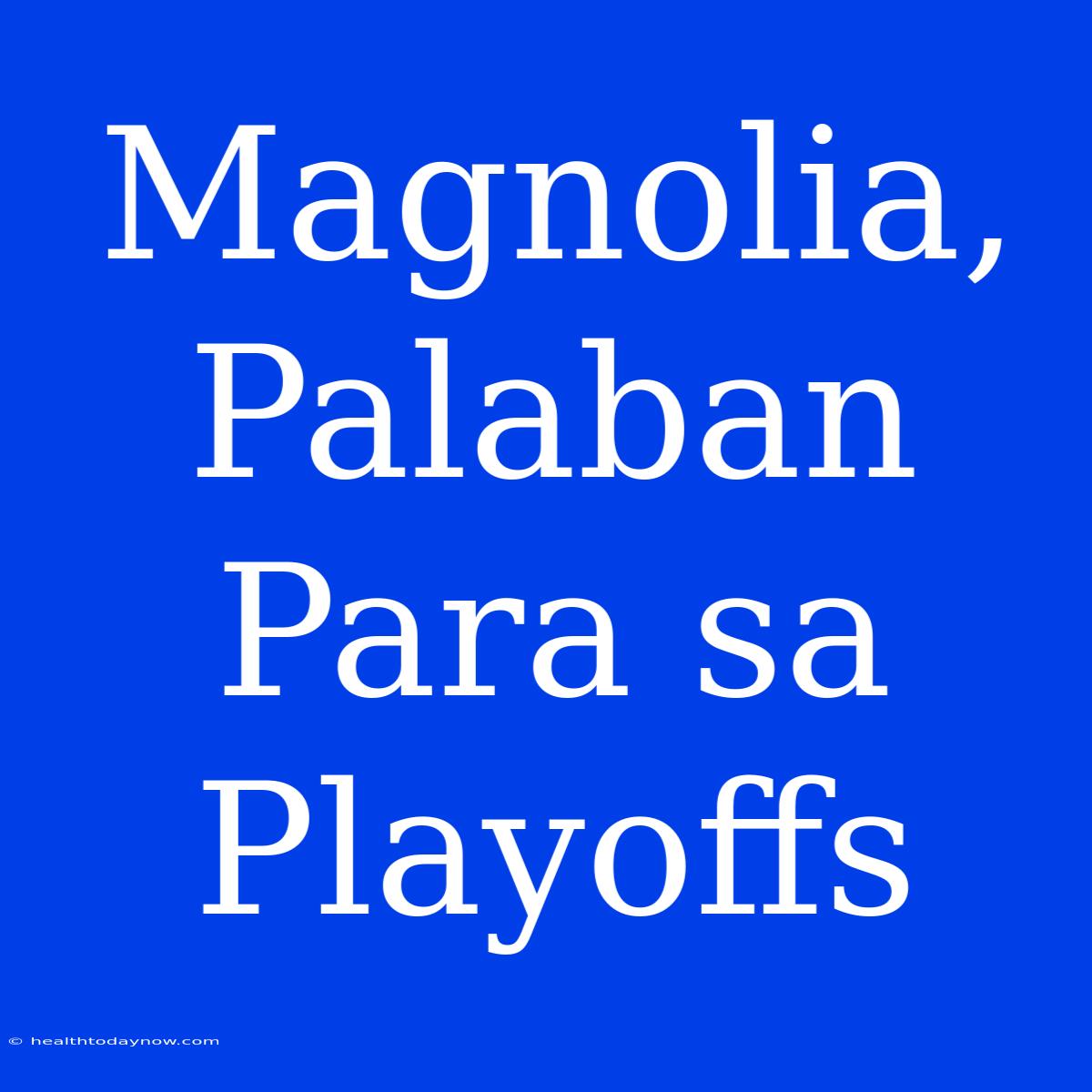 Magnolia, Palaban Para Sa Playoffs