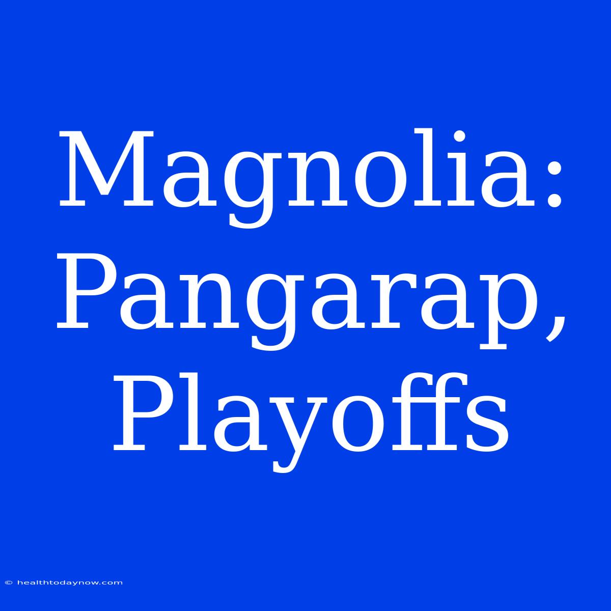 Magnolia: Pangarap, Playoffs