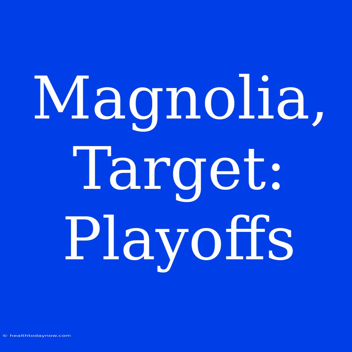 Magnolia, Target: Playoffs