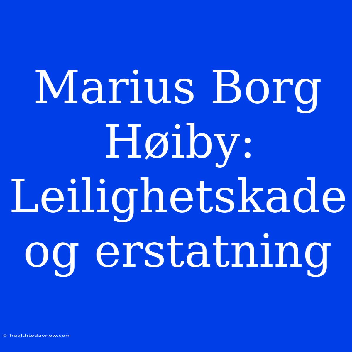 Marius Borg Høiby: Leilighetskade Og Erstatning 