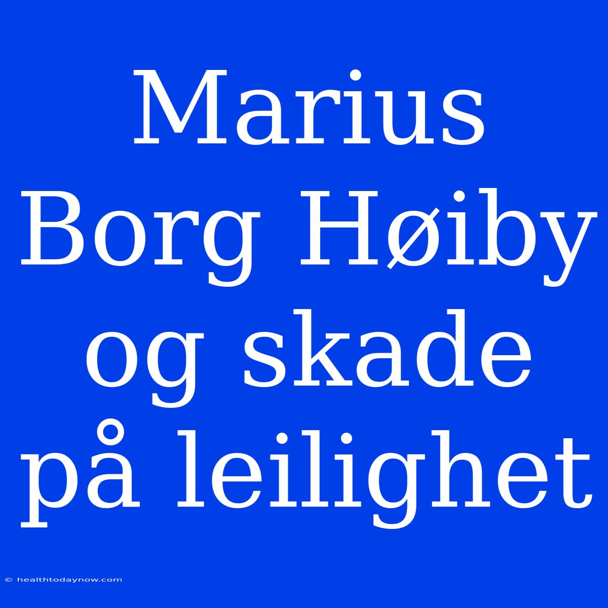 Marius Borg Høiby Og Skade På Leilighet