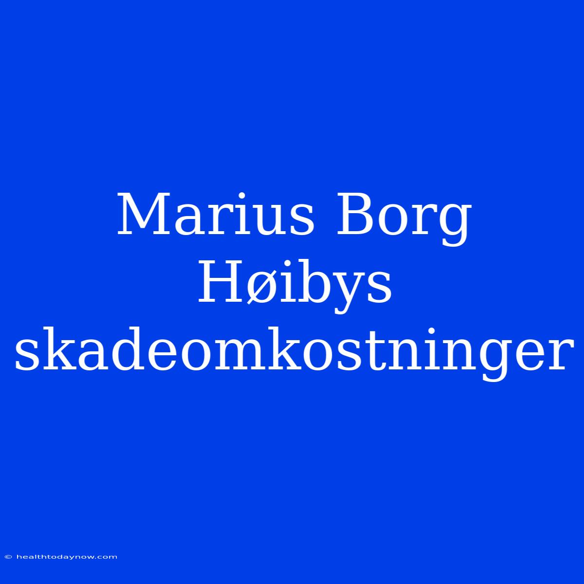 Marius Borg Høibys Skadeomkostninger