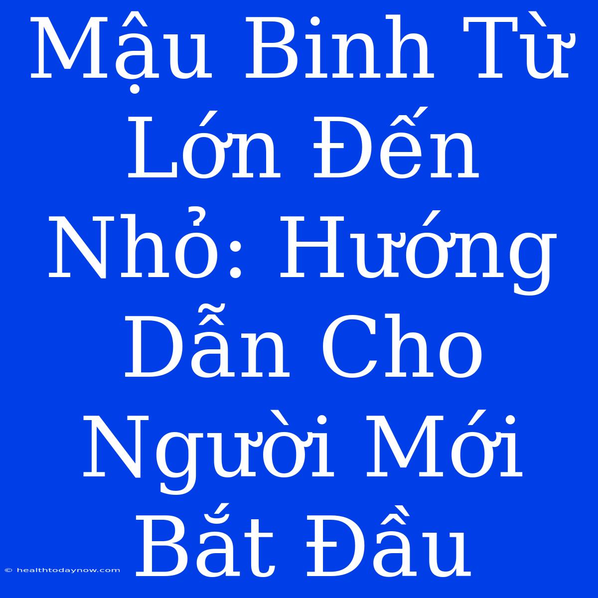 Mậu Binh Từ Lớn Đến Nhỏ: Hướng Dẫn Cho Người Mới Bắt Đầu