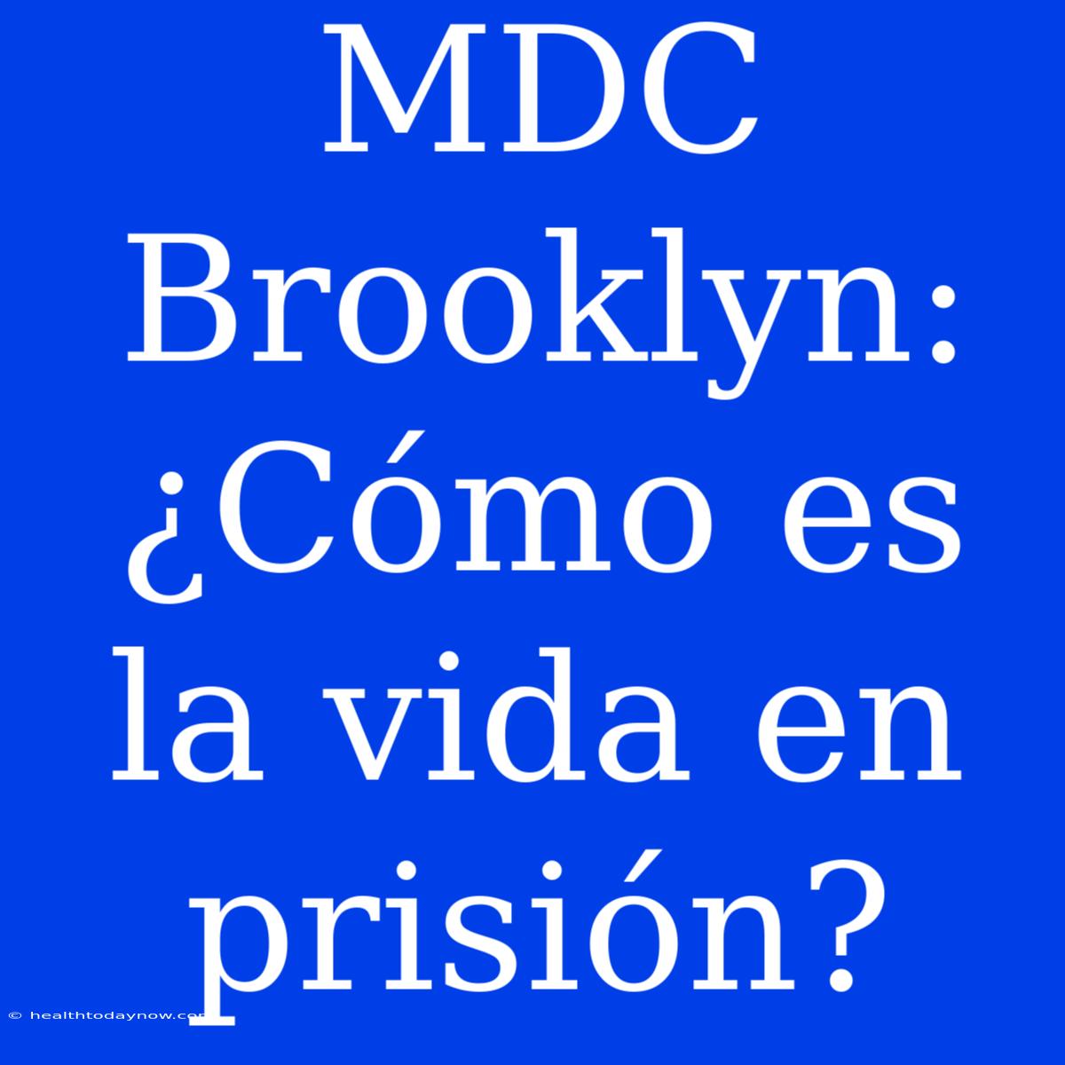 MDC Brooklyn: ¿Cómo Es La Vida En Prisión?