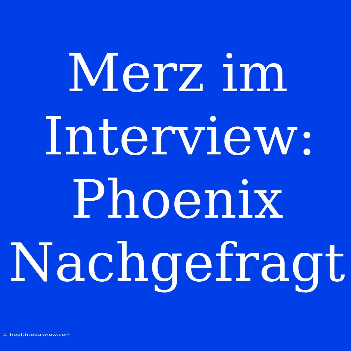 Merz Im Interview: Phoenix Nachgefragt