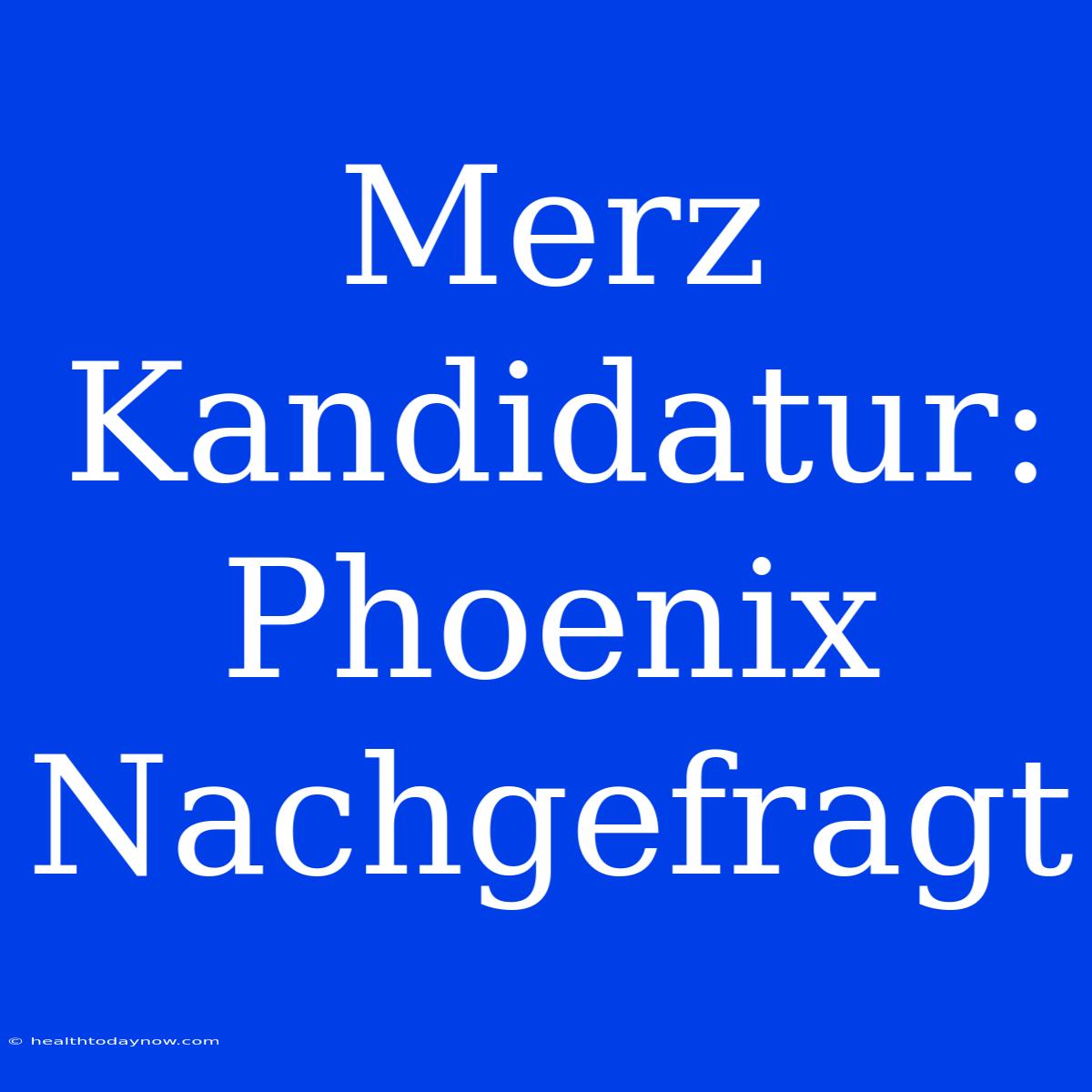 Merz Kandidatur: Phoenix Nachgefragt