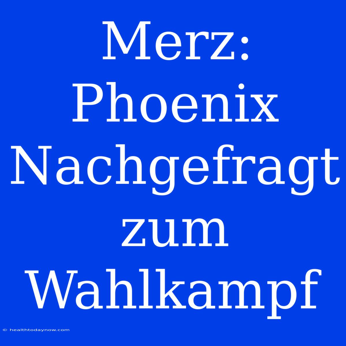 Merz: Phoenix Nachgefragt Zum Wahlkampf