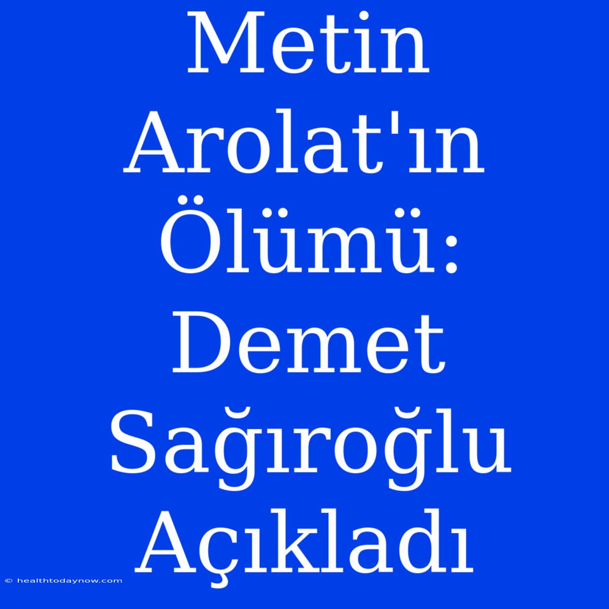 Metin Arolat'ın Ölümü: Demet Sağıroğlu Açıkladı