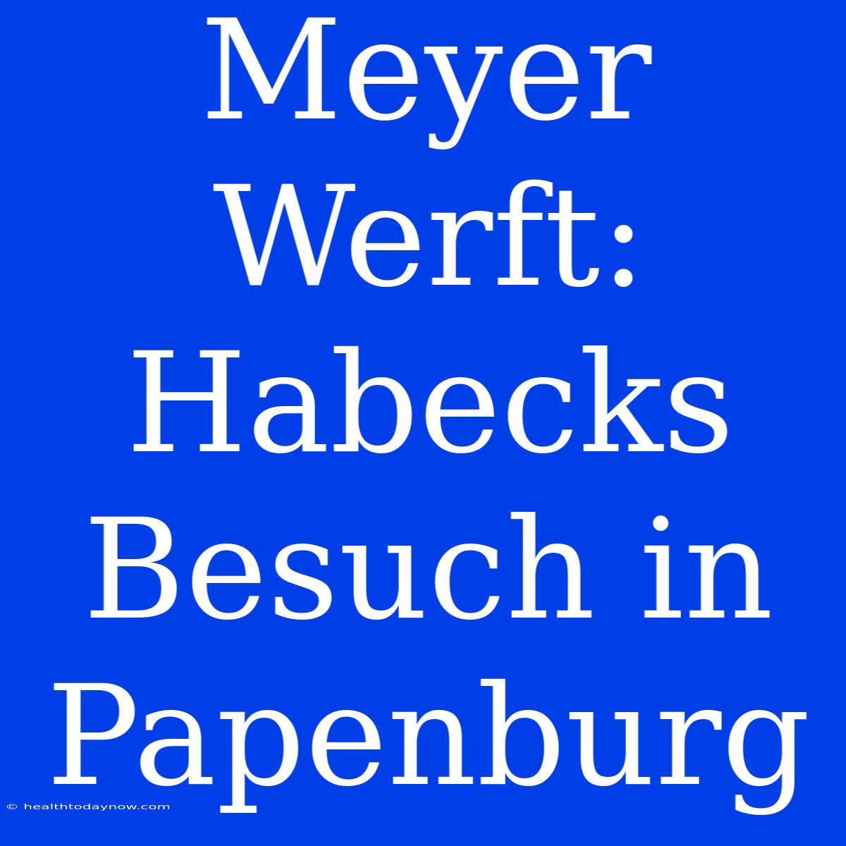 Meyer Werft: Habecks Besuch In Papenburg