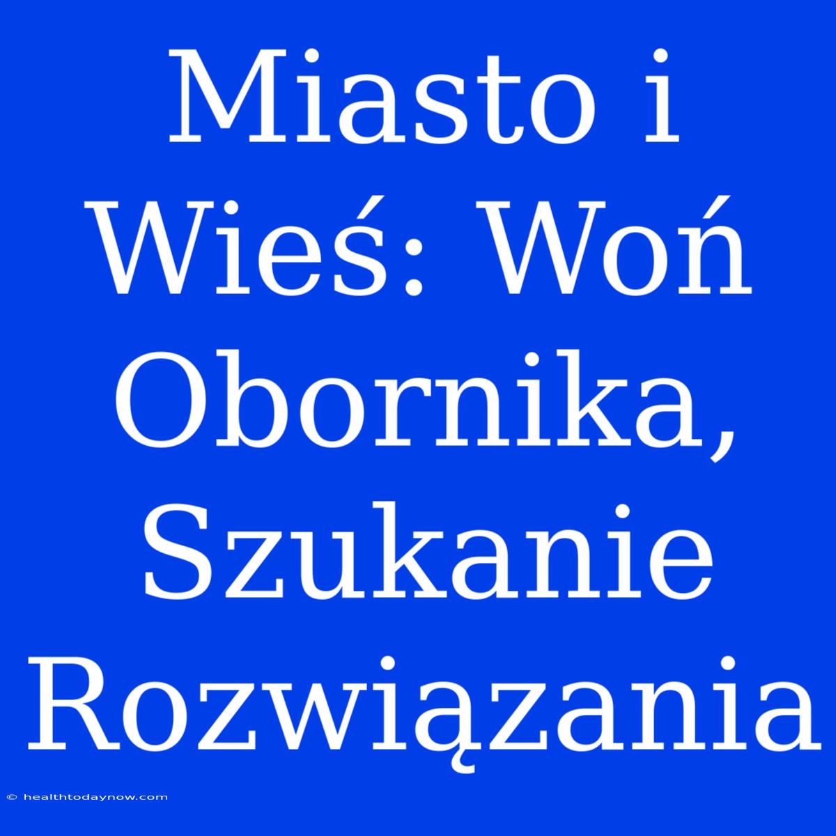 Miasto I Wieś: Woń Obornika, Szukanie Rozwiązania