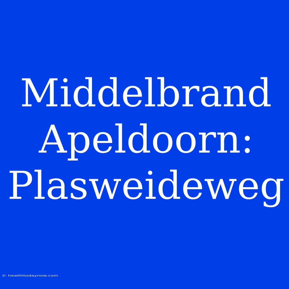 Middelbrand Apeldoorn: Plasweideweg